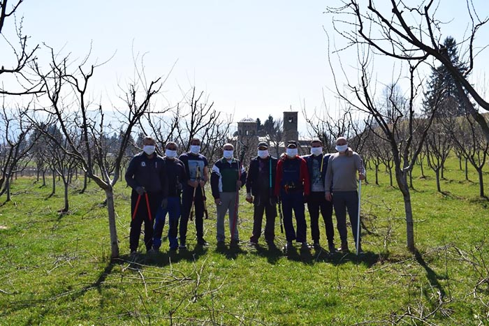 Запослени у Секретаријату за пољопривреду извршили резидбу воћа на газдинству манастира Ђурђеви Ступови