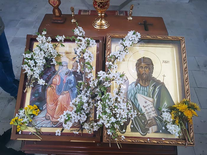 Цвијети у Шекулару