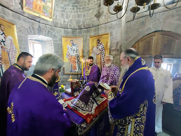 Владика Јоаникије у Стањевићима