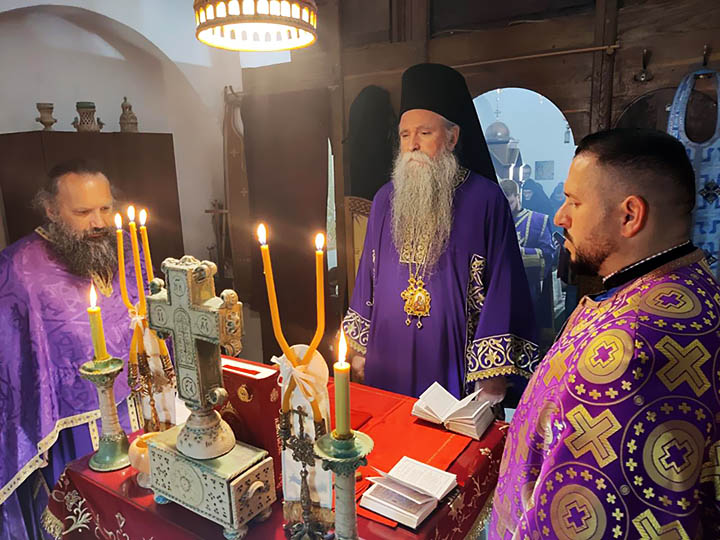 Владика Јоаникије у Паштровићима