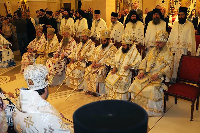 Хиротонисан викарни Епископ Патријарха српског