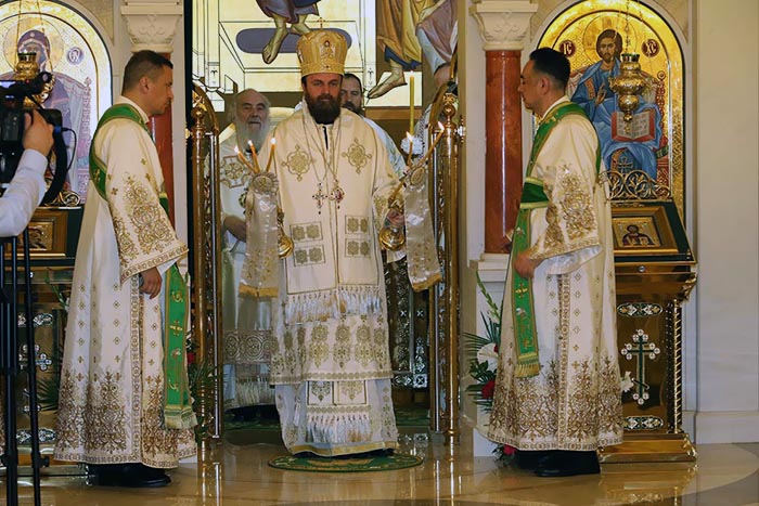 Хиротонисан викарни Епископ Патријарха српског