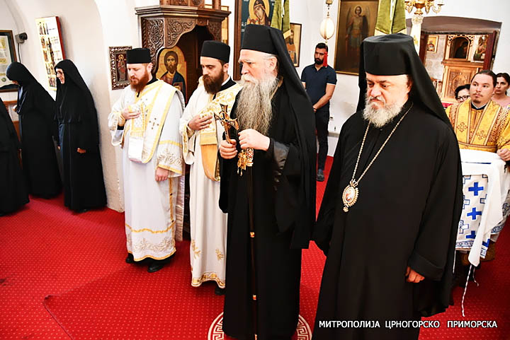 Владика Јоаникије