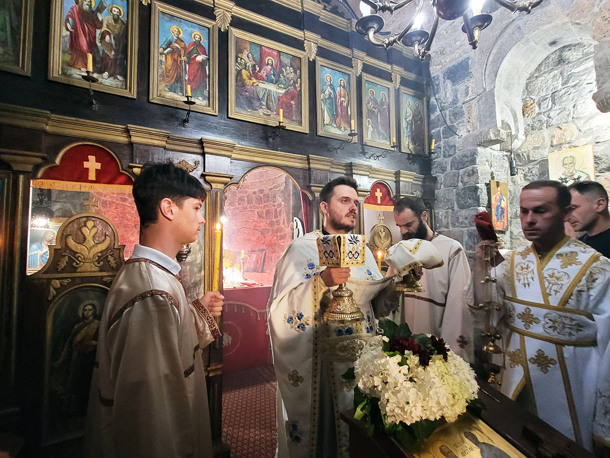 Наше сажаљење је често љубав помијешана са презиром