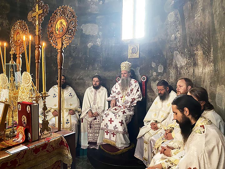 Владика Јоаникије