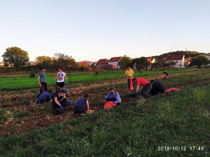 Моба на економији Саборног храма у Никшићу