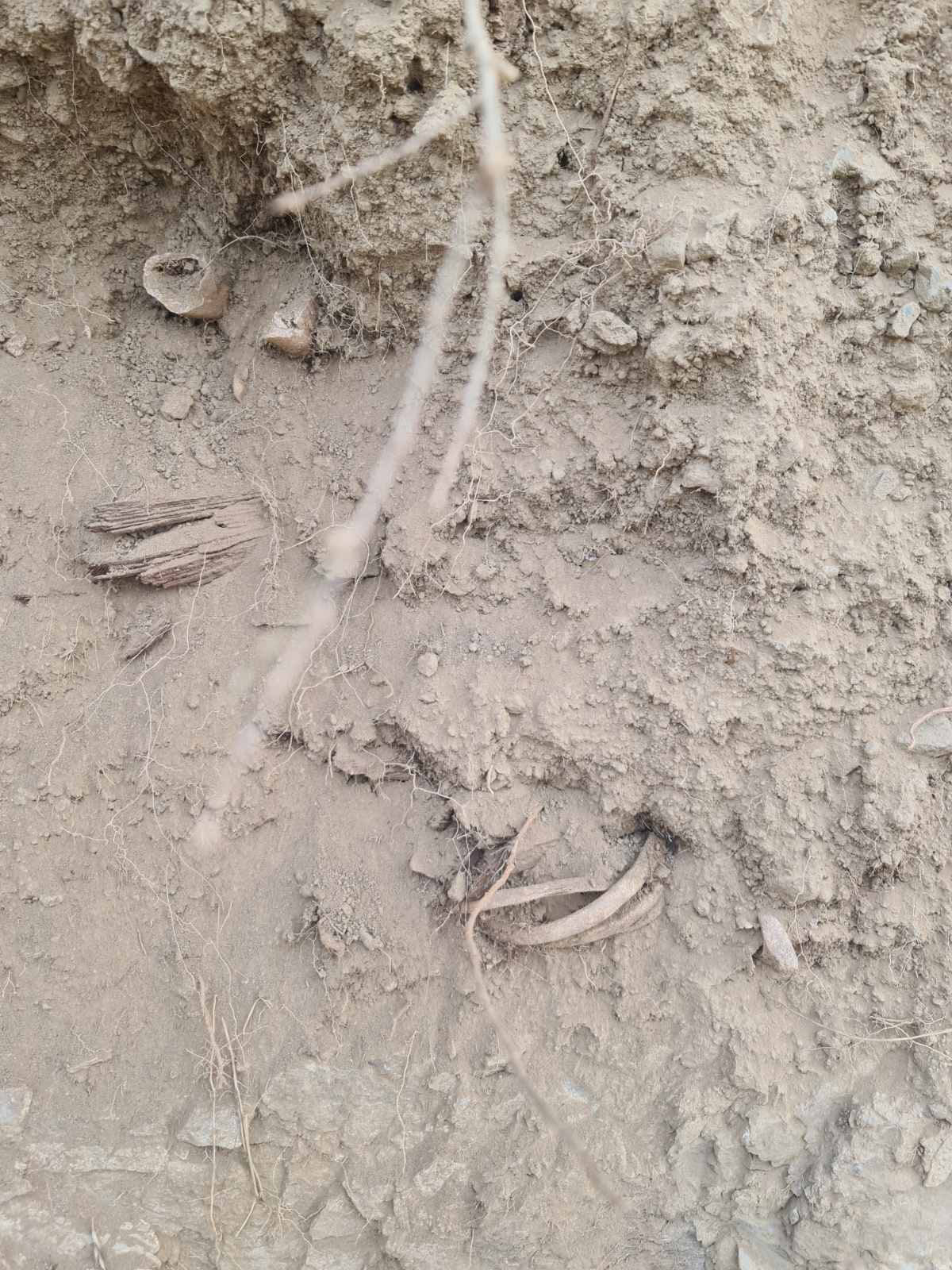 САОПШТЕЊЕ ЕПАРХИЈЕ РАШКО – ПРИЗРЕНСКЕ ПОВОДОМ ЈОШ ЈЕДНОГ У НИЗУ СКРНАВЉЕЊА ПРАВОСЛАВНИХ ГРОБАЉА