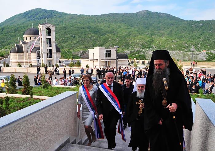 Пуцано на владику Јоаникија и Даку Давидовића, Давидовић рањен