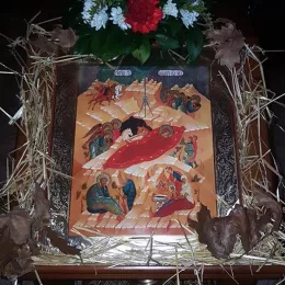 Налагање бадњака и поноћна Литургија у Трепчи