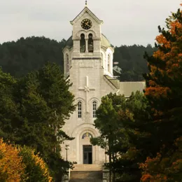 Саопштење за јавност