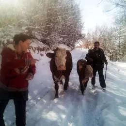 Рекордна година у Црној Гори – помогнуто десет породица и четири народне кухиње