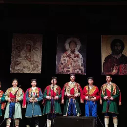 Светосавска академија у Плужинама