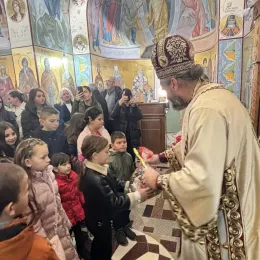 Митроплит Методије на Савиндан богослужио у селу Дапсиће