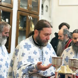 Празник Богојављења и пливање за Часни крст у Никшићу