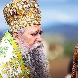 Тридесет година свештеничке службе Владике Јоаникија