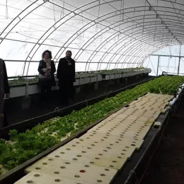 Освештан аквапонијски пластеник на Мркошници