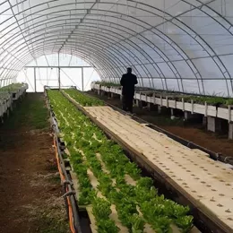 Освештан аквапонијски пластеник на Мркошници