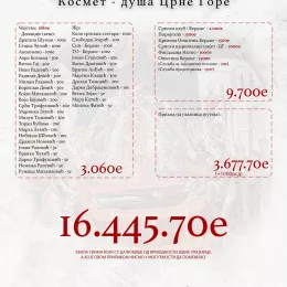 mar-2024-finansijski-izvjestaj-kosmet-dusa-crne-gore