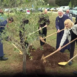 Посађене маслине испред четири вјерска објекта у главном граду