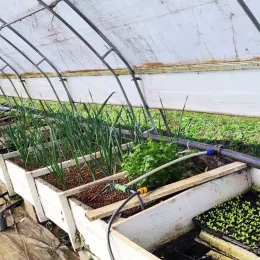 Пластенике аквапоније у Мушовини код Никшића посјетили ученици ССШ из Подгорице