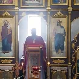 Цвијети у Шекулару