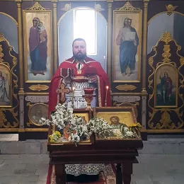 Цвијети у Шекулару