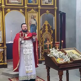 Цвијети у Шекулару