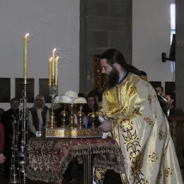 Врбица прослављена у Саборном храму у Никшићу