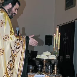 Врбица прослављена у Саборном храму у Никшићу