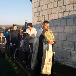 Врбица у Страшевини