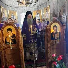 Владика Јоаникије у Стањевићима