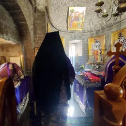 Владика Јоаникије у Стањевићима