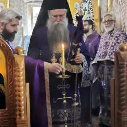 Владика Јоаникије у Стањевићима