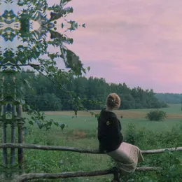 Стид као политичка врлина