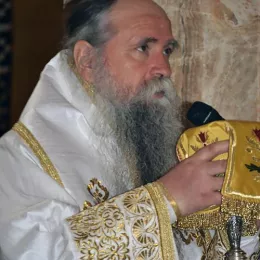 Владика Јоаникије: Што ће безбожницима храмови