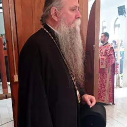Митрополит Јоаникије: Сабор пројавио и утврдио јединство Српске православне цркве