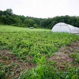 Манастир Буково претрпео велику материјалну штету