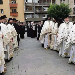 Хиротонисан викарни Епископ Патријарха српског