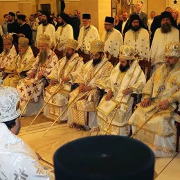 Хиротонисан викарни Епископ Патријарха српског