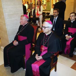 Хиротонисан викарни Епископ Патријарха српског