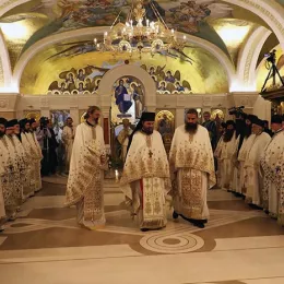 Хиротонисан викарни Епископ Патријарха српског