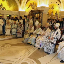 Хиротонисан викарни Епископ Патријарха српског