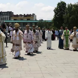 Хиротонисан викарни Епископ Патријарха српског
