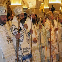 Хиротонисан викарни Епископ Патријарха српског