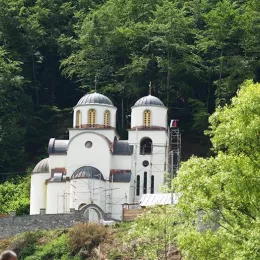 Епископ Јоаникије