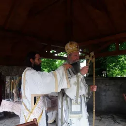 Владика Јоаникије у Златешу