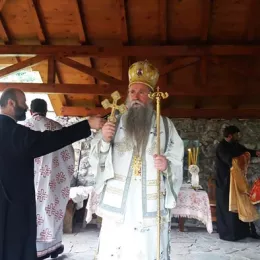 Владика Јоаникије у Златешу