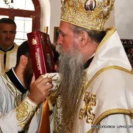 Владика Јоаникије