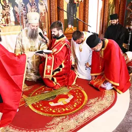 Патријарх Порфирије: Да Господ умудри немудре