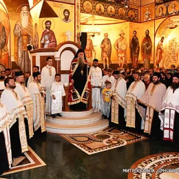 Изабрани Митрополит Јоаникије